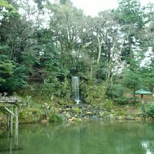 鬱蒼としている