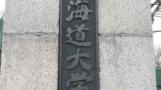 広い！広すぎる！！