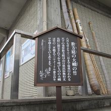 お祭りに使う竹だと思います。