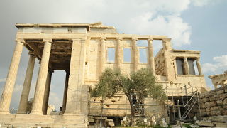 複雑なデザインが珍しいです