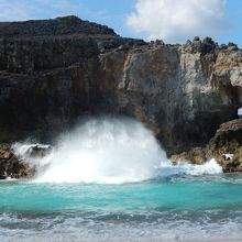 扇池の風景