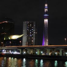 帰ってきたら夜景のスカイツリーになっています