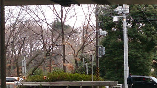 でっかくて便利な総合公園