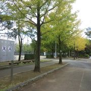 高知城の裏にある、木々がきれいな公園。