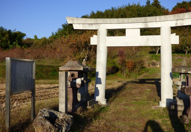 高子岡城跡