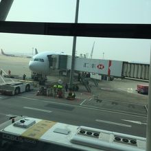 ゲートからの景色