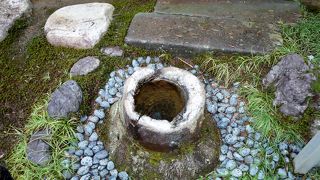 実はヤシ科の化石の手水鉢