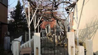 美濃紙の発祥地