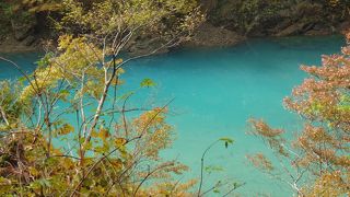 コバルトプルーの川、紅葉は最高