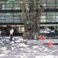 マイトリア ホテル スクンビット18