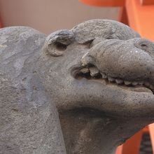 こんな顔してます