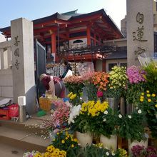 門前の花屋さん