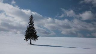 冬の夕日は格別でした