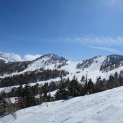 志賀高原の中でスキーオンリーのスキー場