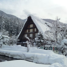 雪が似合います