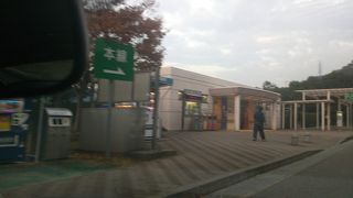 桜があるといいのですけどね。