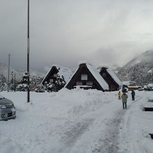 中々は全体撮影は難しいです