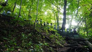 登山を楽しみながら