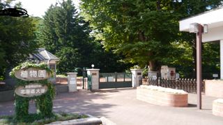 札幌駅近くに残された自然