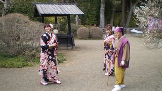 水戸の梅大使に会えます