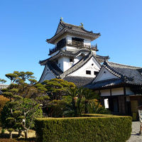 高知城 (高知公園)