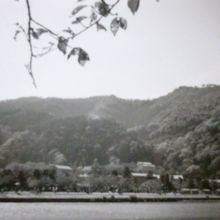 モノクロモードでの撮影です。