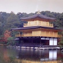 水面の反射が綺麗ですよね。