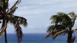 帽子が特徴なモアイ