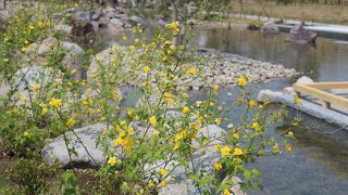 多摩川沿いに新しく出来た公園