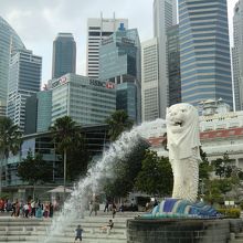 写真とりまくり