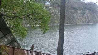 徳川により造られた。