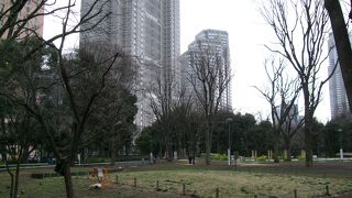 「雨水貯留・浸透施設」の機能もある