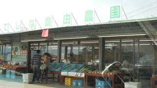 蓼科のおみやげの野菜