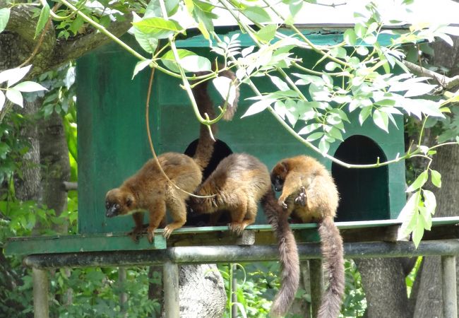 チンパザザ動植物公園