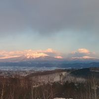 客室からの眺め