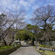 石垣はかなりの程度残っているのですが、雄大さという印象はありません