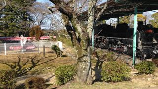 亀山城跡の大きな公園!!