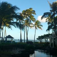 イルカのいるラグーン