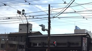 龍馬の子孫について知ることができます