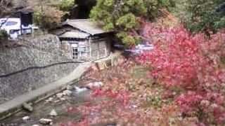 森の中の温泉街！紅葉の時期がおススメです♪