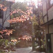 紅葉の時期おススメです。