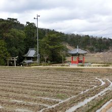 田んぼの中にある神社