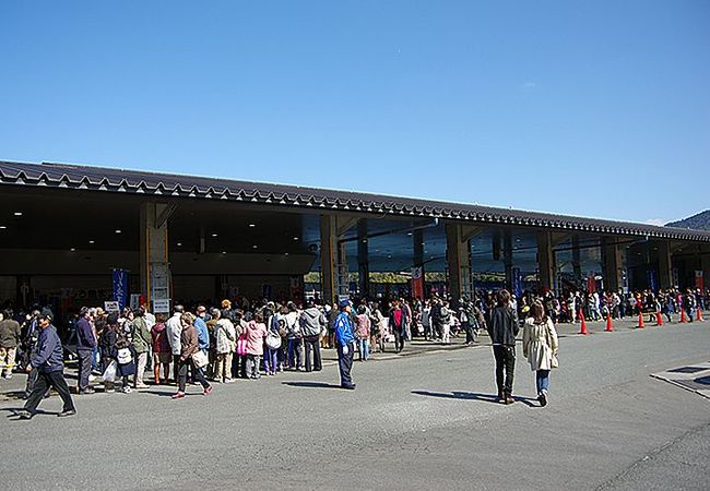 今年で３５回を迎えるシロウオまつりに参加して来ました