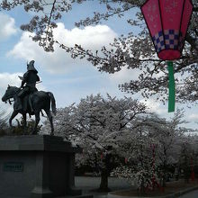 銅像の周囲は桜やぼんぼり飾りに包まれていました.