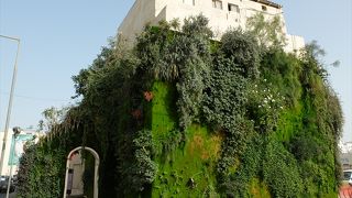 Vertical Garden (Green Gate)