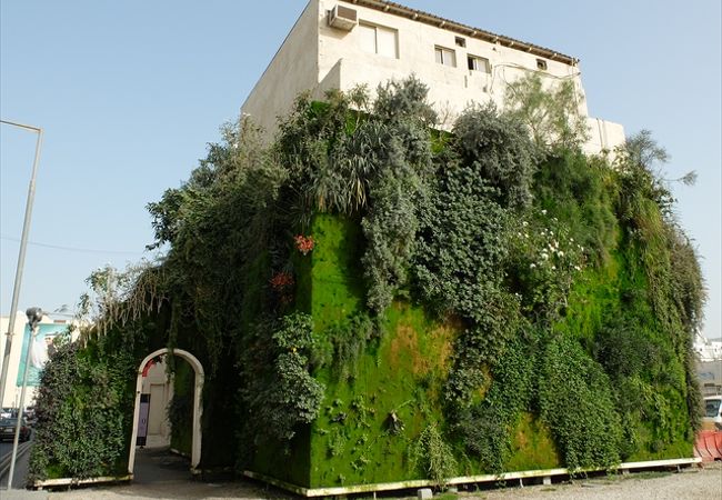 Vertical Garden (Green Gate)