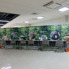 円山動物園の動物の写真も展示されていました．