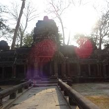 良い感じの逆光で神秘的