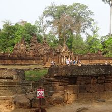 こじんまりしています。