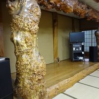 夕食をいただいた広間の舞台